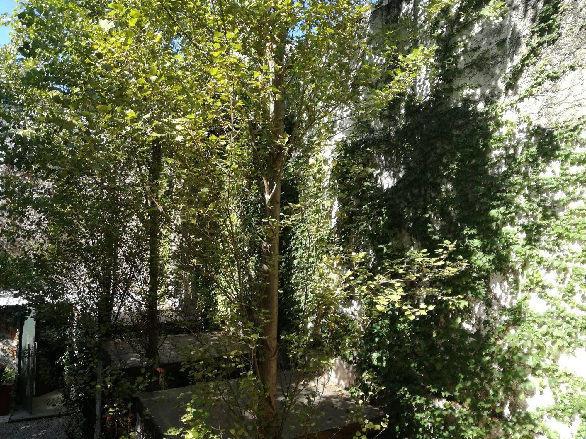 Feel Buenos Aires Apartments Exterior foto